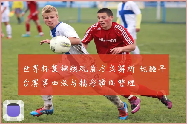 世界杯集锦线观看方式解析 优酷平台赛事回放与精彩瞬间整理