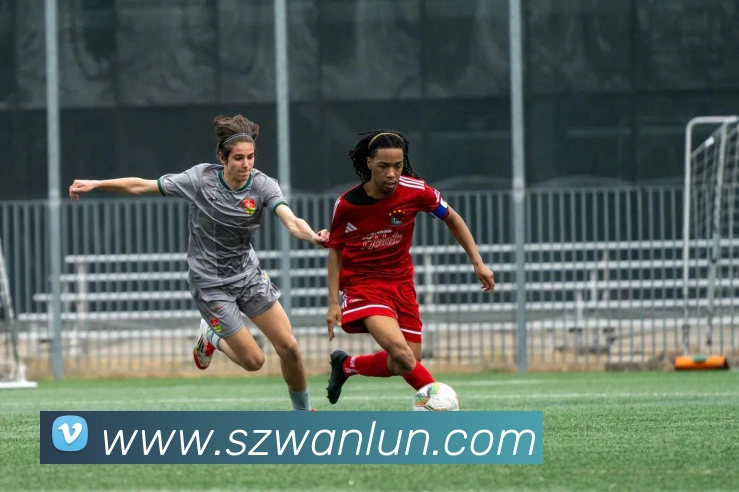 米兰网官网登录入口APP 封面图